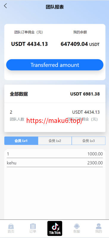 新版多语言/海外tiktok抢单刷单系统/刷单打针