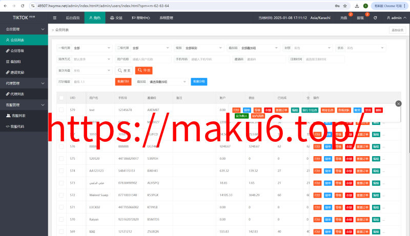 新版多语言/海外tiktok抢单刷单系统/刷单打针