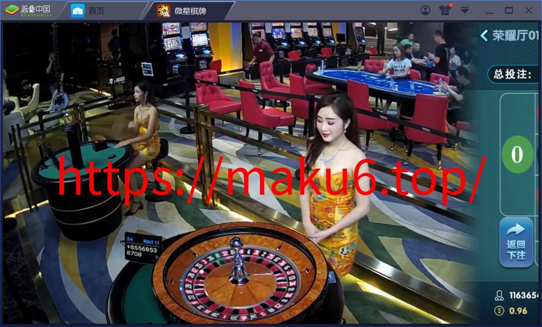 图片[5]-微星棋牌娱乐源码：23款热门真钱1:1游戏大全-凡客源码