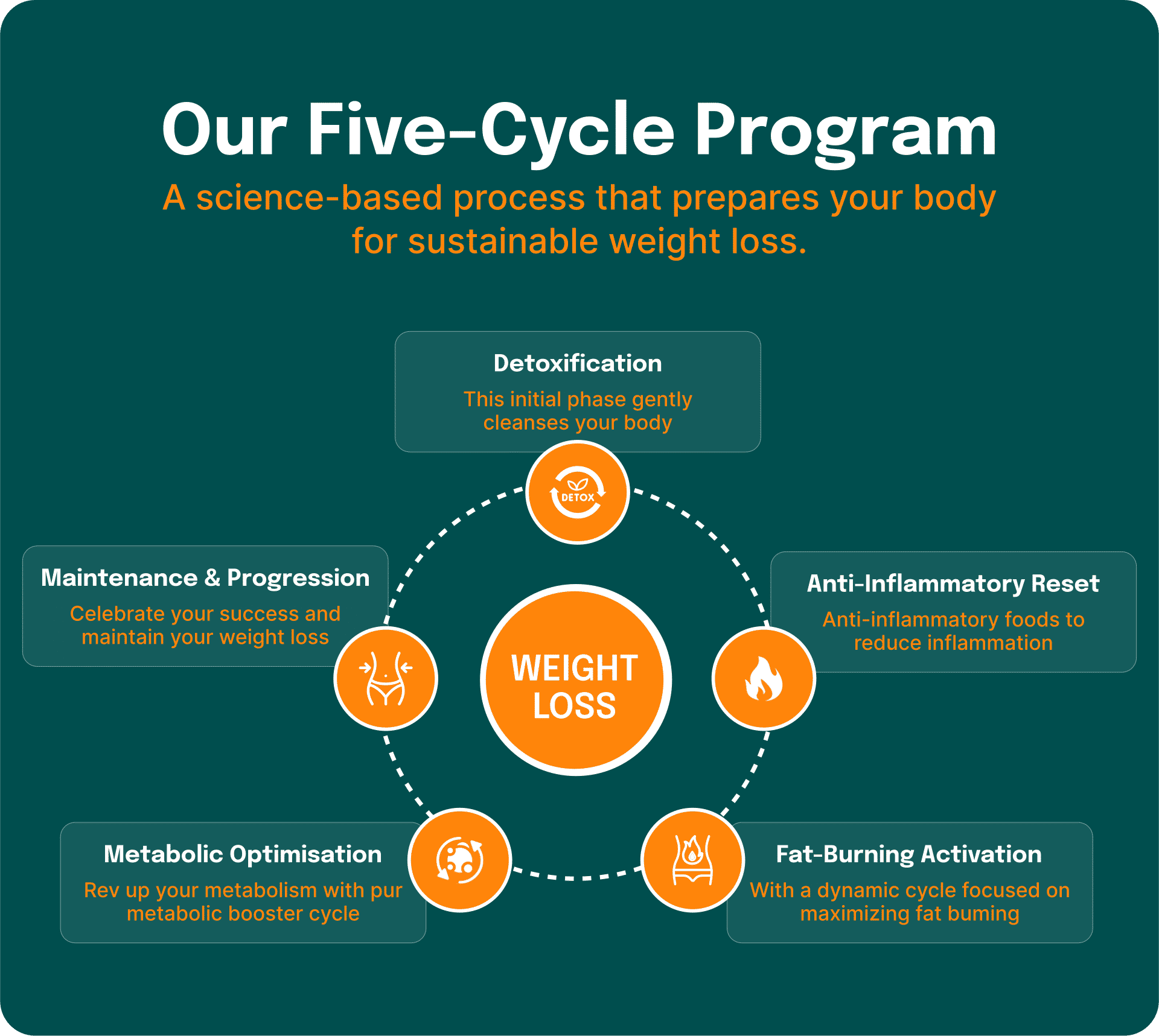 Our Five-Cycle Program - Mobile