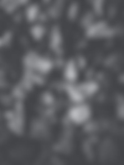 stone_98