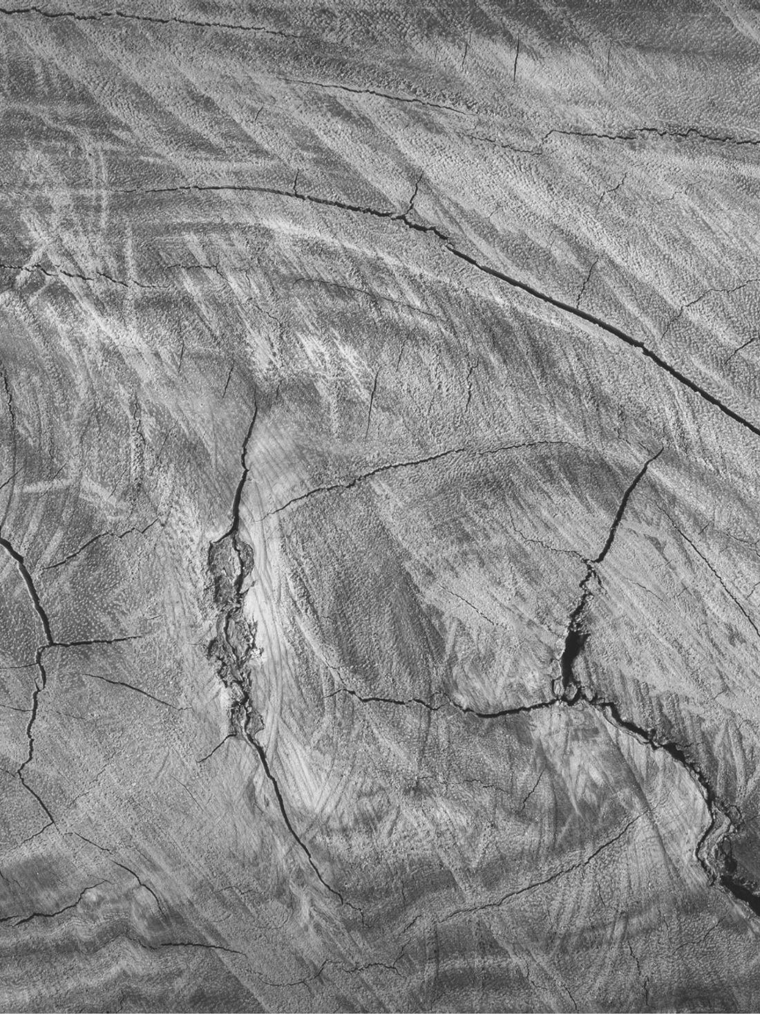 wood wood