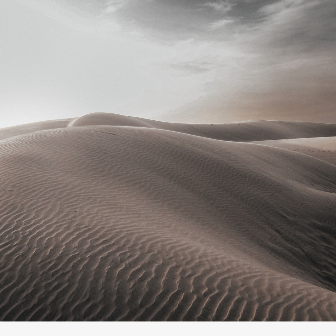 dune1 dune1