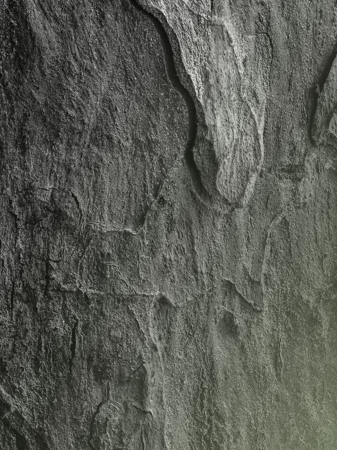 cfa-esg-garp-scr-exam-prep-made-easy-brainie-brainiegroup