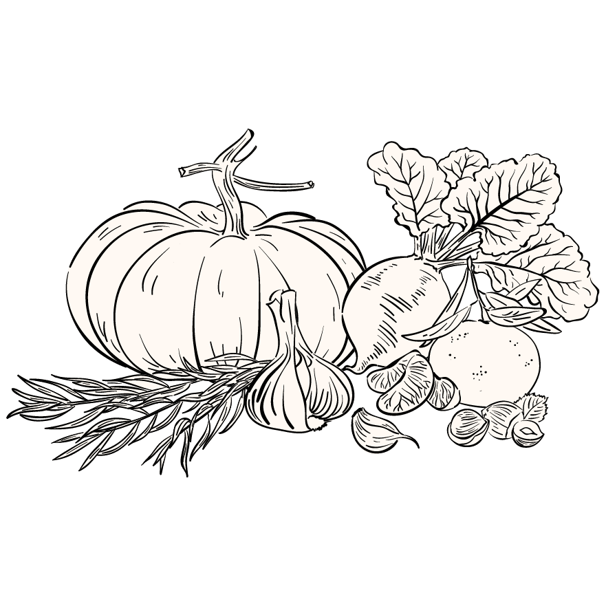 Illustration de légumes du marché (courge, ail, betterave).