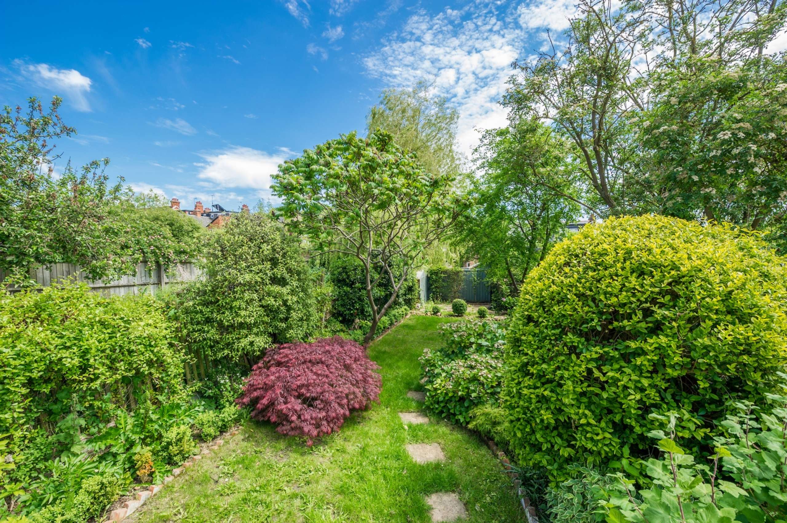 134 Divinity Road  High Res-3