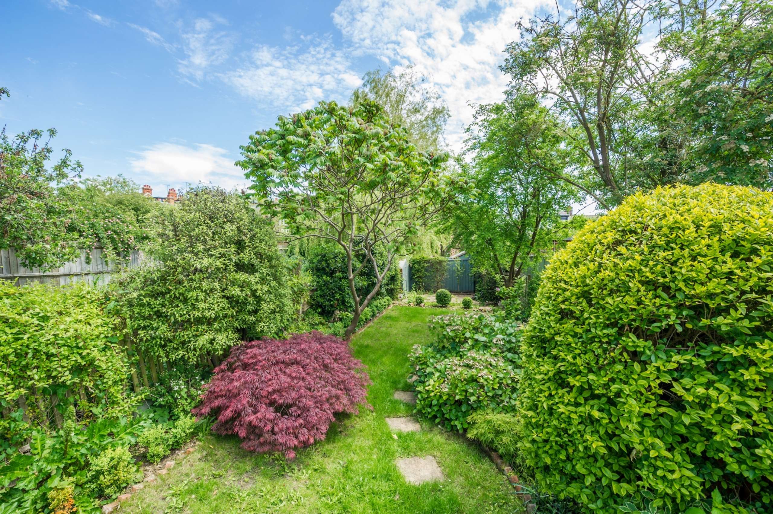 134 Divinity Road  High Res-5