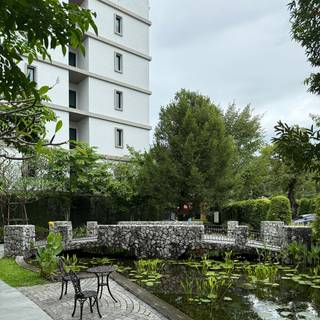 Декоративный пруд с кувшинками, зона отдыха