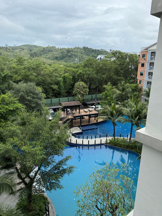 Вид сверху на детский бассейн с деревянным мостиком. Тропическая зелень на заднем плане