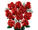 Bouquet of Roses