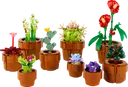 Tiny Plants