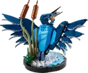 Kingfisher Bird