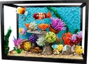 Tropical Aquarium