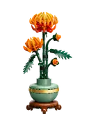 Chrysanthemum