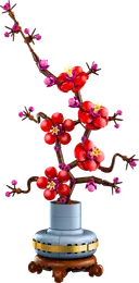 Plum Blossom