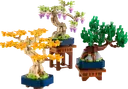 Mini Bonsai Trees