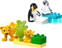 Wild Animal Families: Penguins & Lions