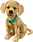 Golden Retriever Puppy