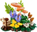 Woodland Mushrooms