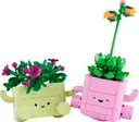 Rocking Plants