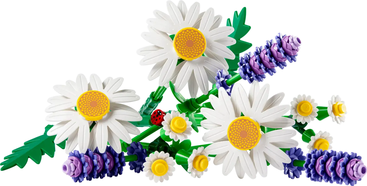 Daisies