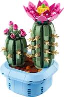 Flowering Cactus