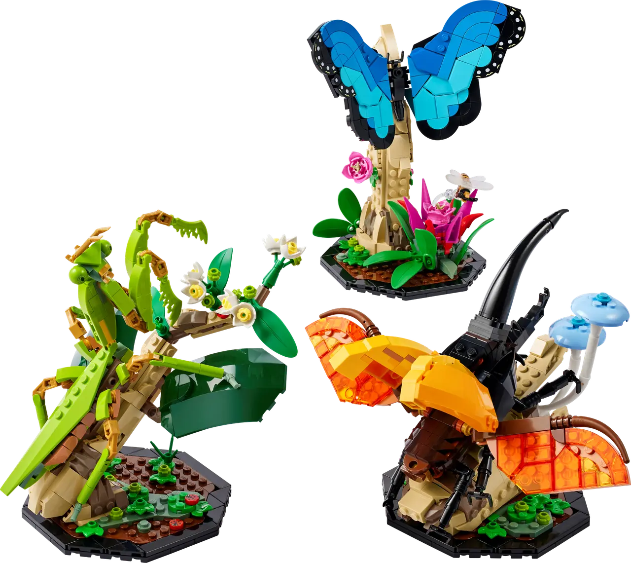 The Insect Collection