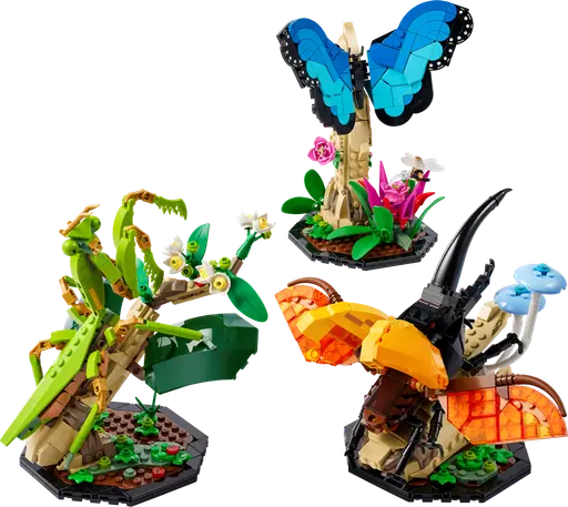 The Insect Collection