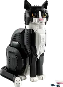 Tuxedo Cat