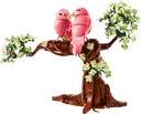 Love Birds