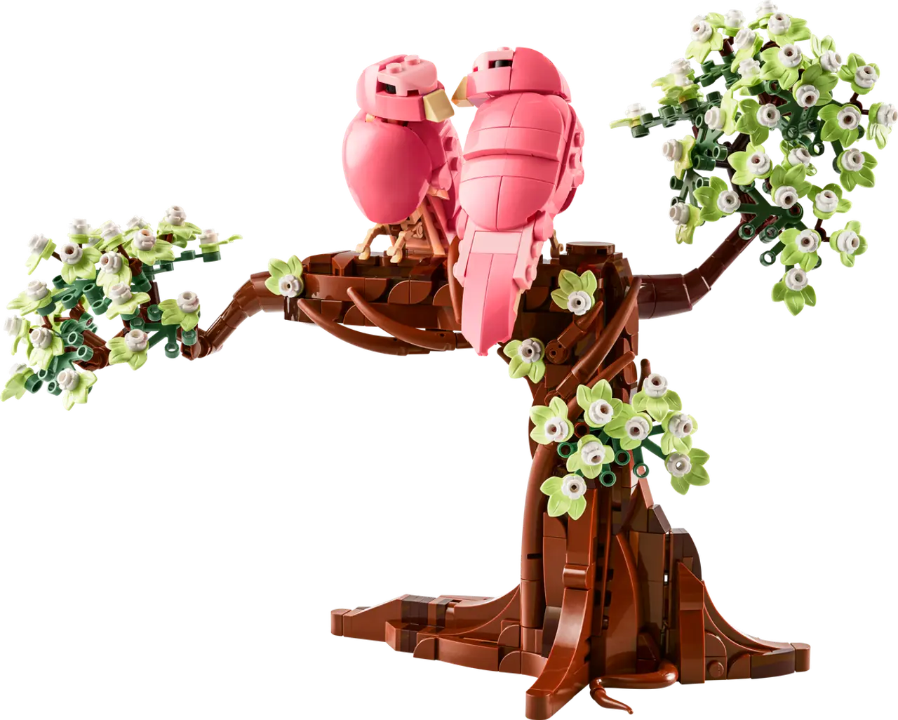 Love Birds
