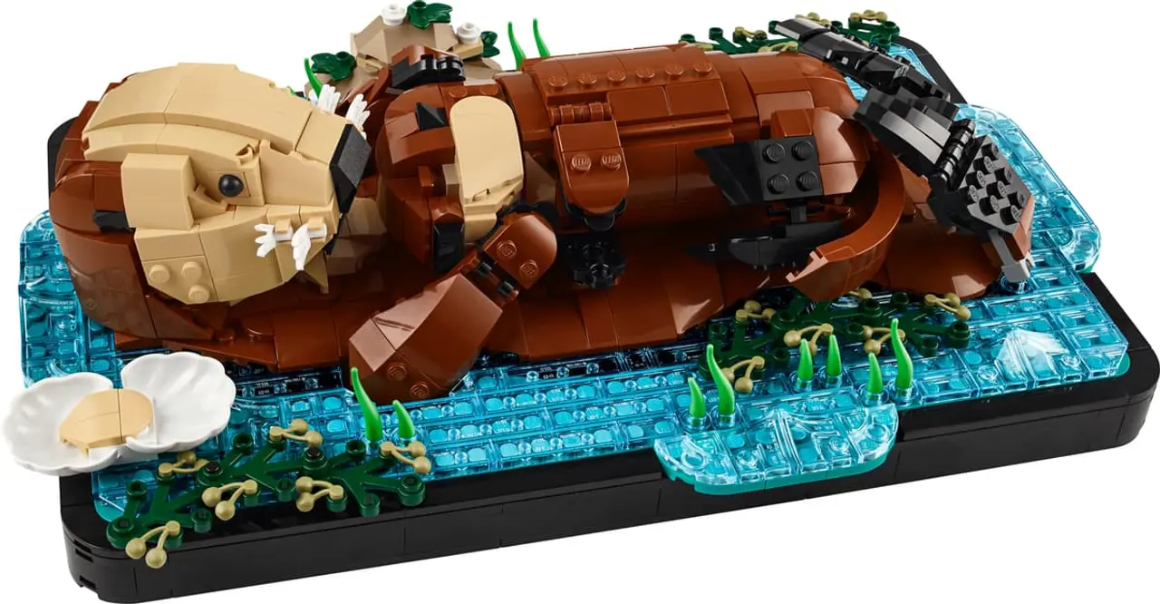 Floating Sea Otters