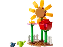 Flower Garden