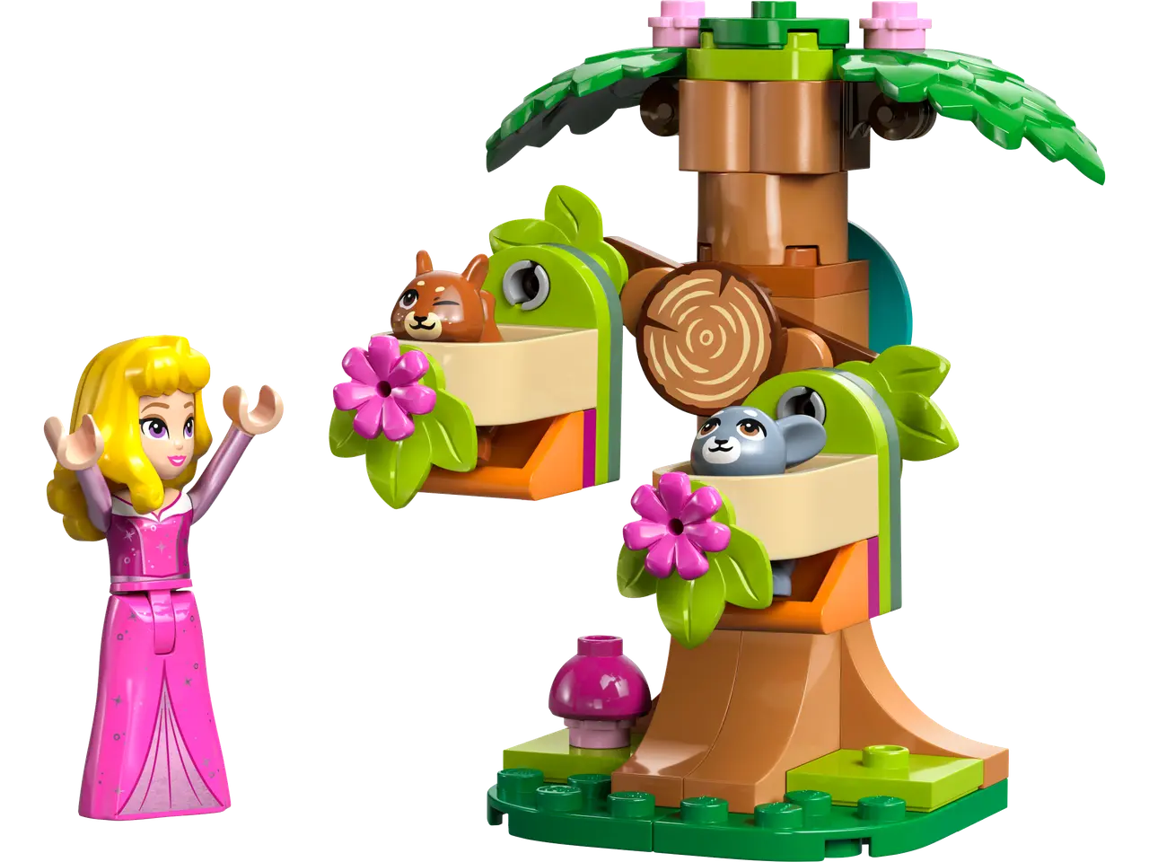 Aurora's Forest Playground