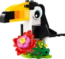 Tropical Toucan