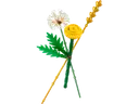 Field Flowers