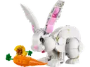 White Rabbit