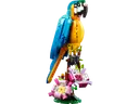 Exotic Parrot