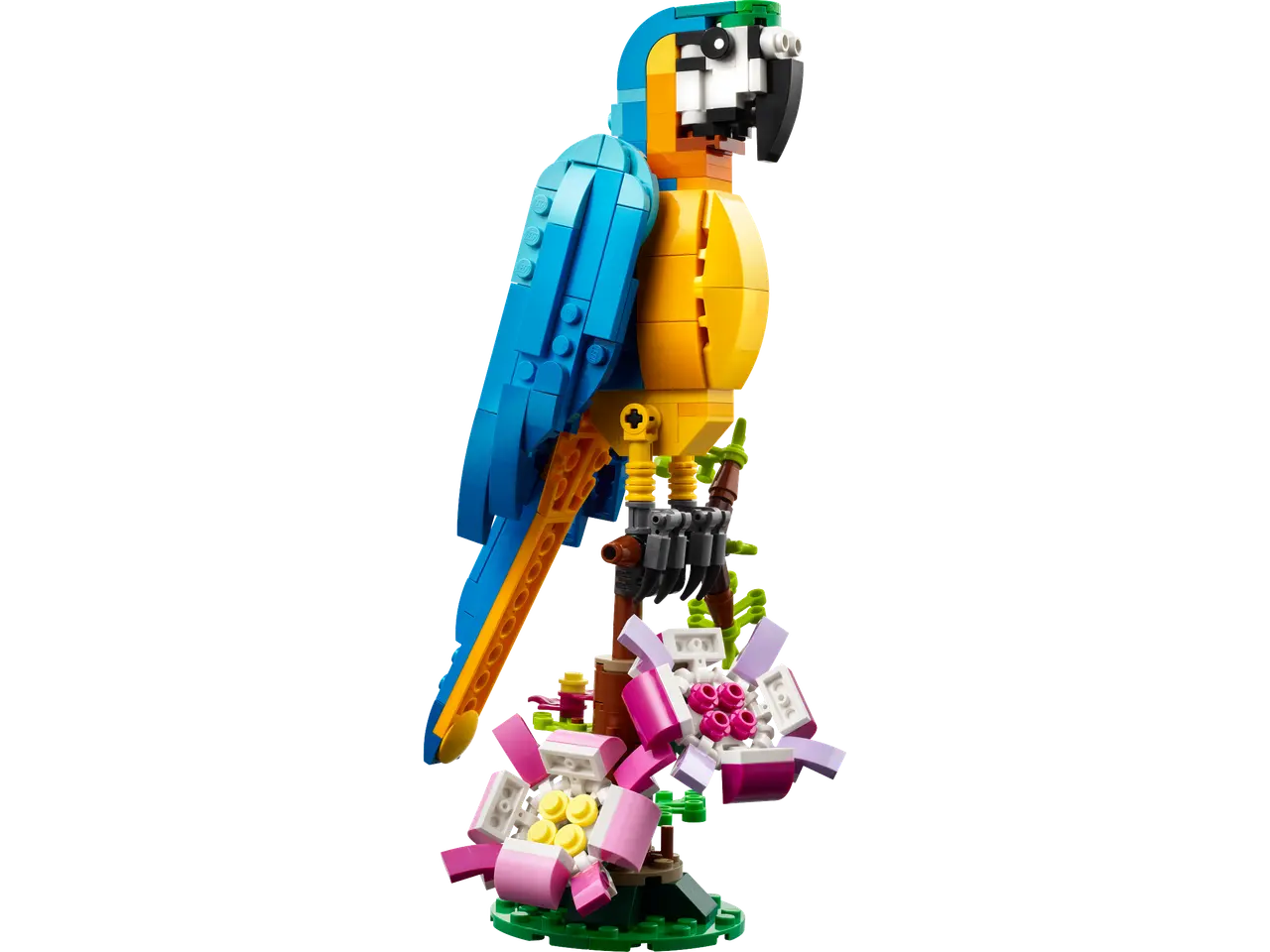 Exotic Parrot