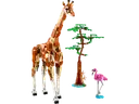 Wild Safari Animals