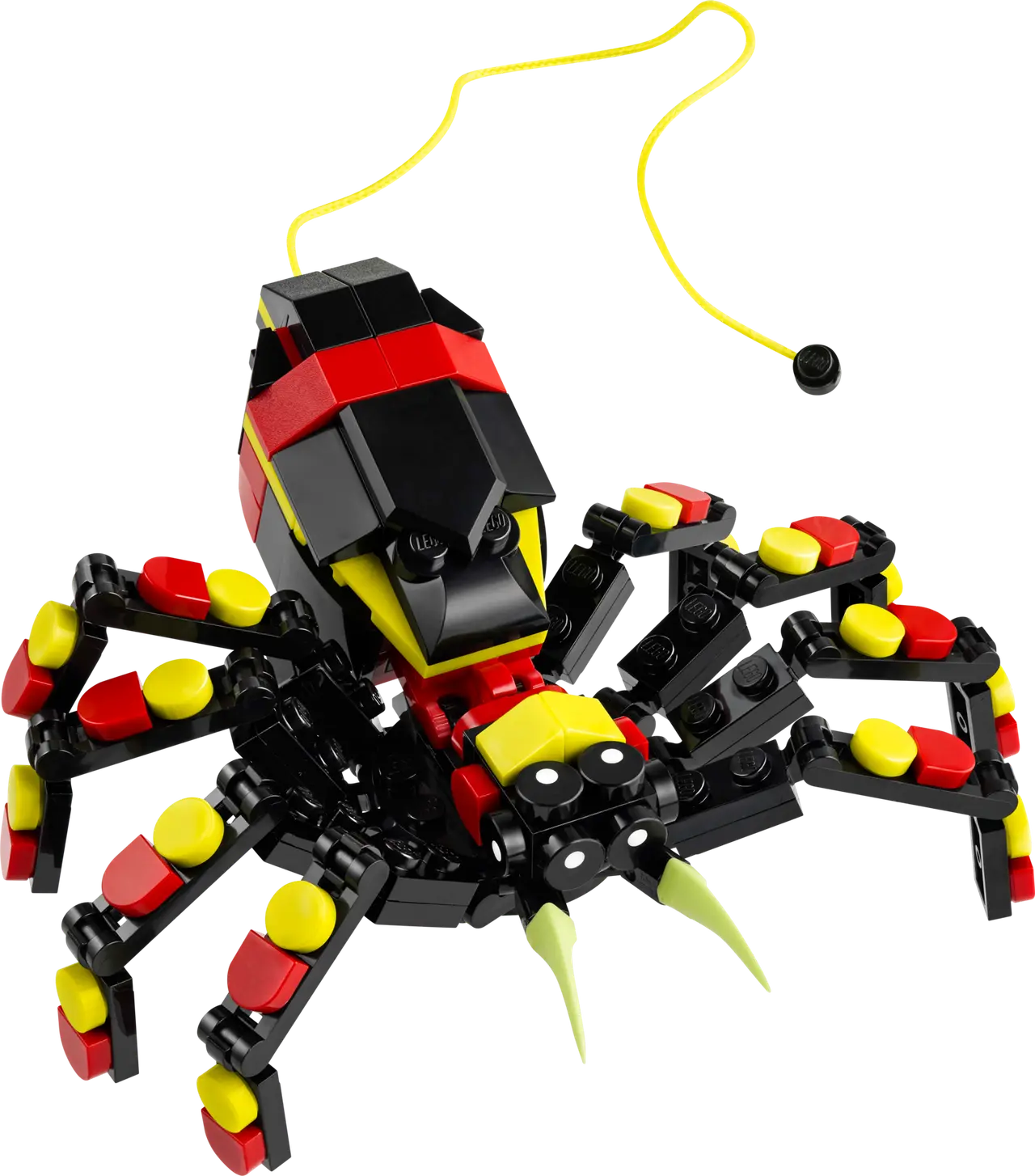 Wild Animals: Surprising Spider