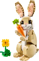 Cute Bunny