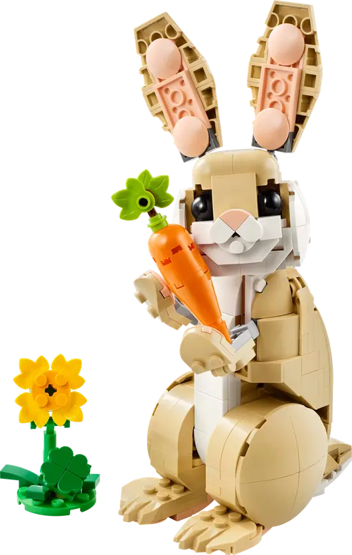 Cute Bunny