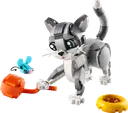 Playful Cat