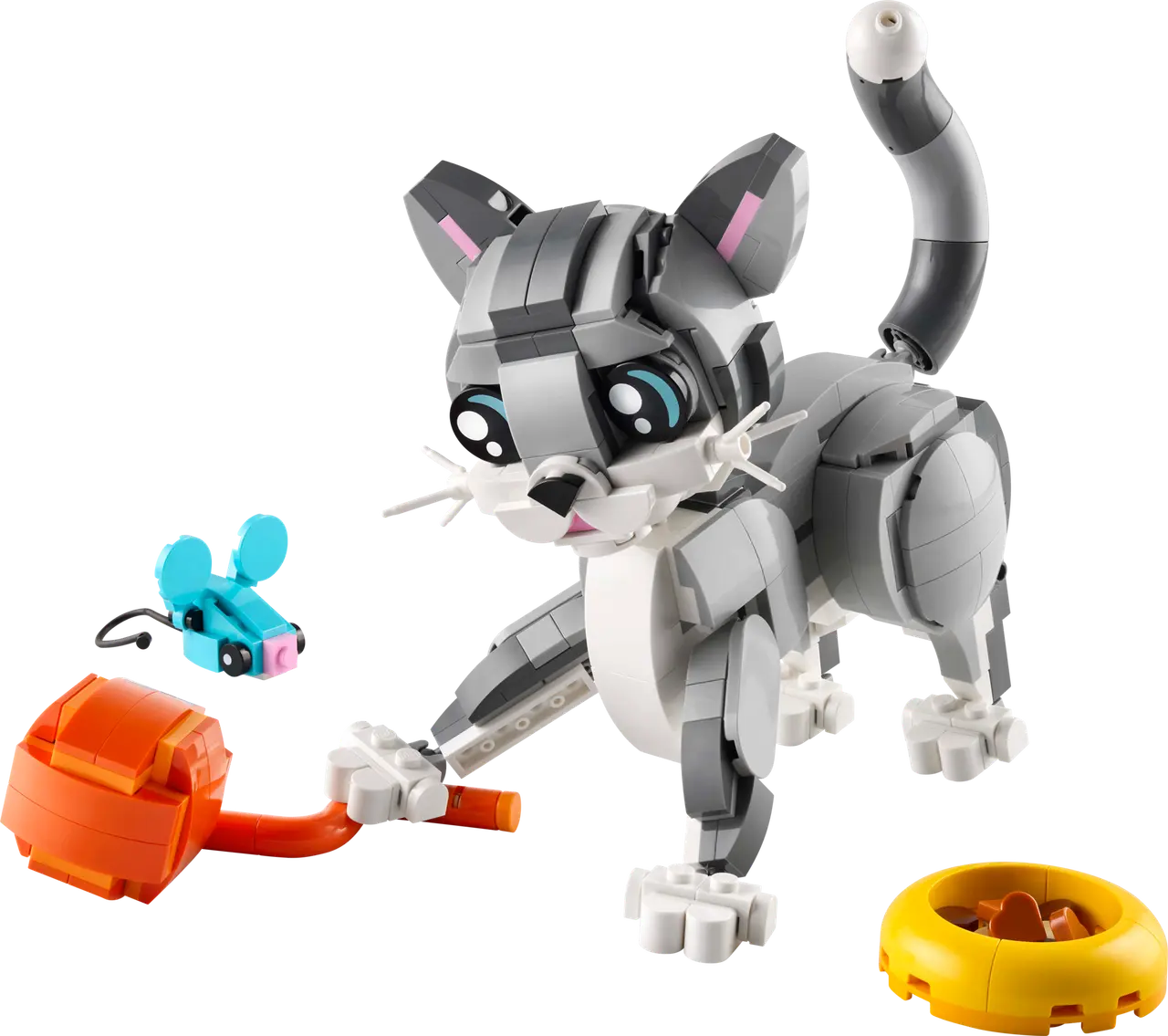 Playful Cat