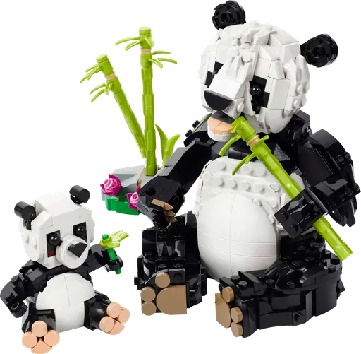 Wild Animals: Panda Family