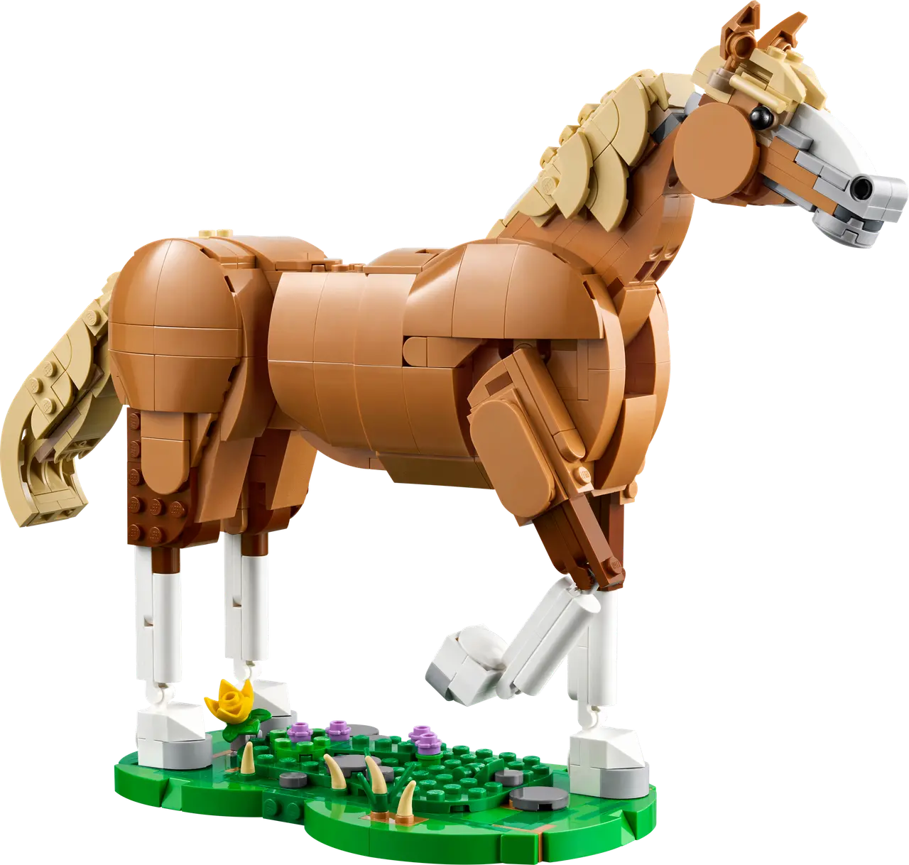 Beautiful Horse