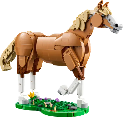 Beautiful Horse