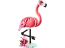 Wild Animals: Pink Flamingo