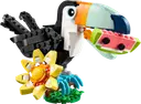 Wild Animals: Tropical Toucan